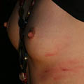 whippedwomen.com