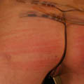 whippedwomen.com
