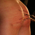 whippedwomen.com
