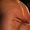 whippedwomen.com