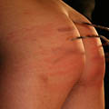 whippedwomen.com