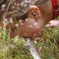 whippedwomen.com