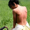 whippedwomen.com