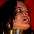 whippedwomen.com