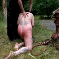 whippedwomen.com