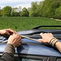 whippedwomen.com