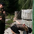 whippedwomen.com
