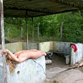 whippedwomen.com