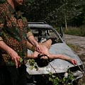 whippedwomen.com