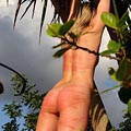 whippedwomen.com