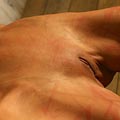 whippedwomen.com