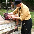 whippedwomen.com