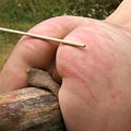 whippedwomen.com