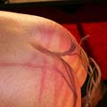 whippedwomen.com