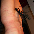 whippedwomen.com