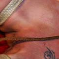 whippedwomen.com
