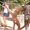 whippedwomen.com