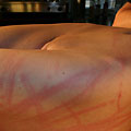 whippedwomen.com