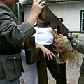 whippedwomen.com
