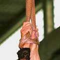whippedwomen.com