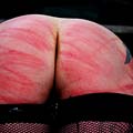 whippedwomen.com