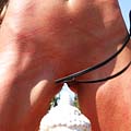 whippedwomen.com