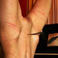 whippedwomen.com