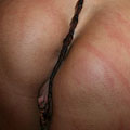 whippedwomen.com