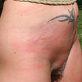 whippedwomen.com